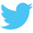icon twitter